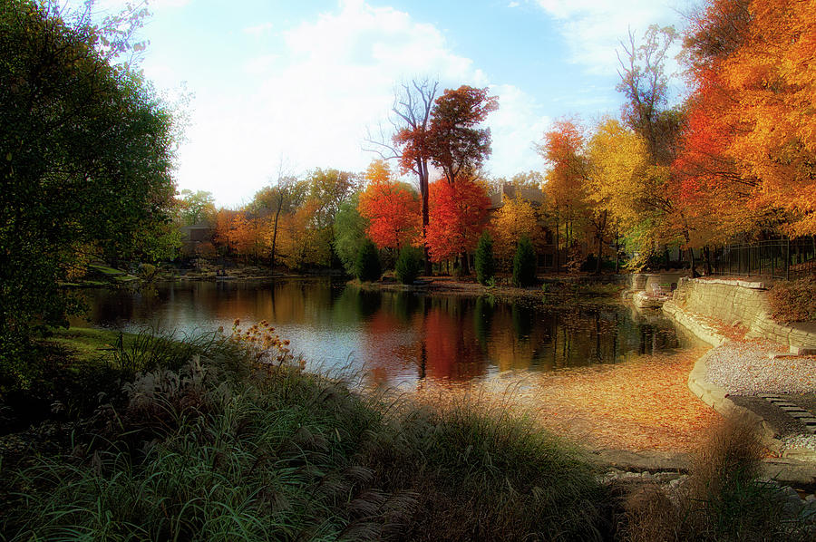 Autumn Pond 2016 Photograph by Thomas Woolworth