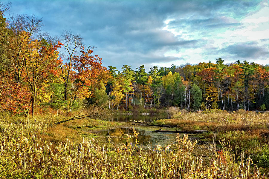 Autumn Pond 4 Photograph by Steve Harrington | Fine Art America