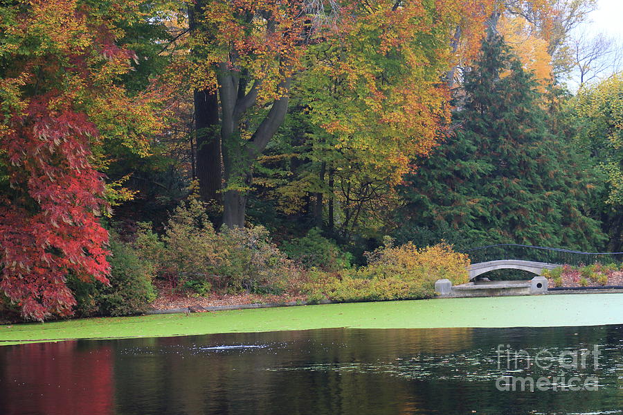 Autumn Pond III Photograph by Mary Haber