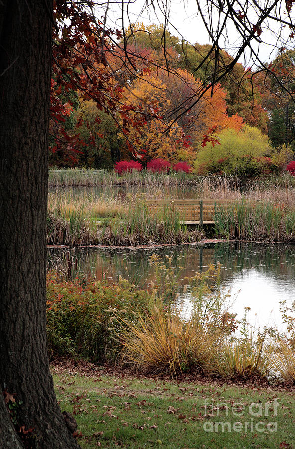 Autumn Pond in Maryland Photograph by William Kuta