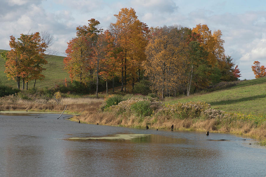 Autumn Pond Photograph by Joshua House