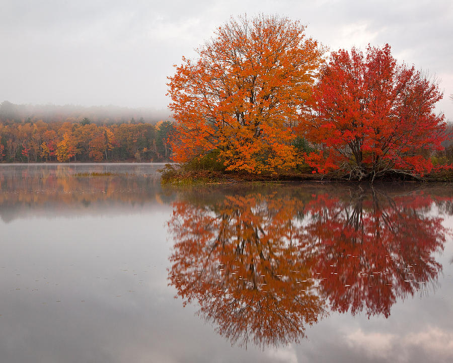 Autumn Pond Photograph by Patrick Downey