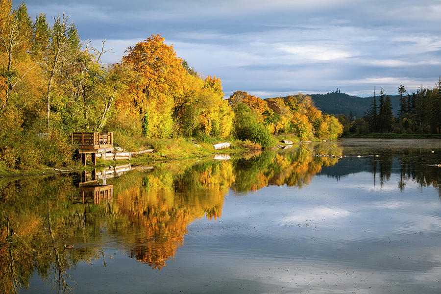 Autumn Pond Reflection Photograph by Catherine Avilez