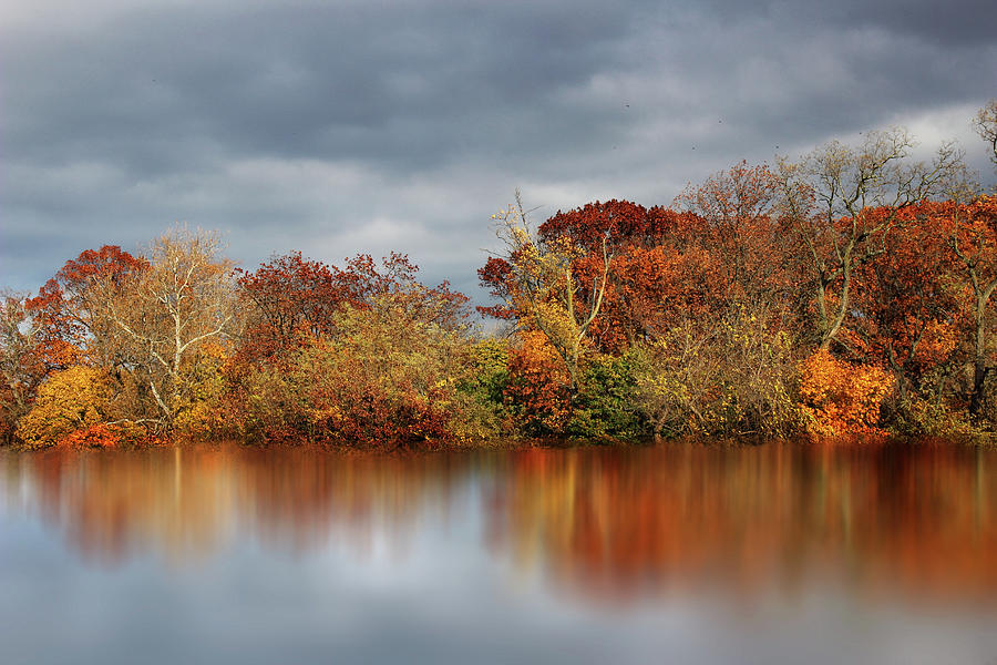 Autumn Pond Reflections Photograph by Jessica Jenney