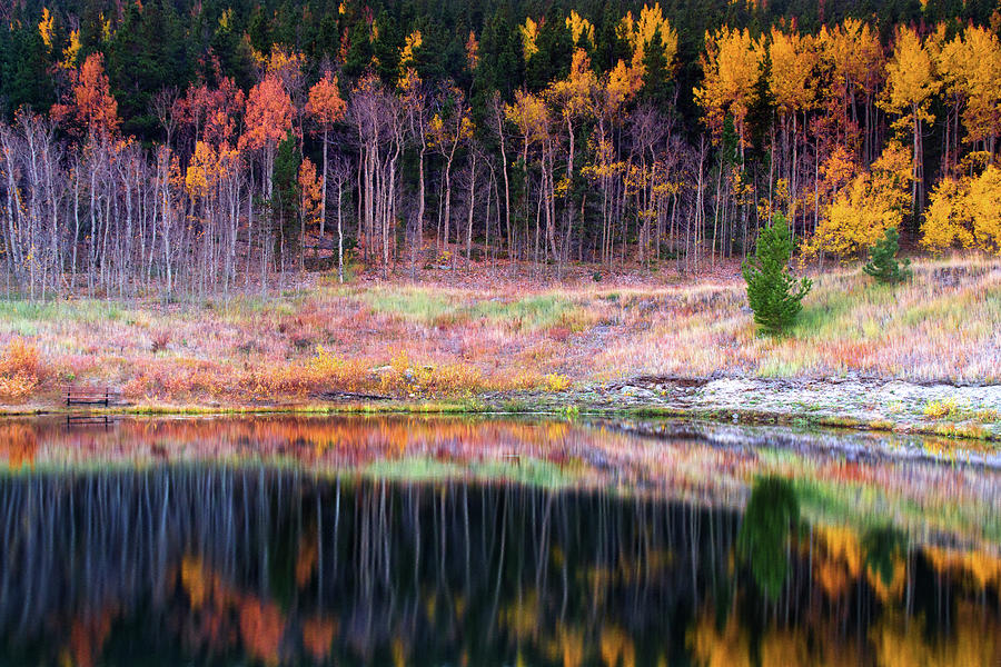 Autumn Pond Reflections Photograph by John De Bord