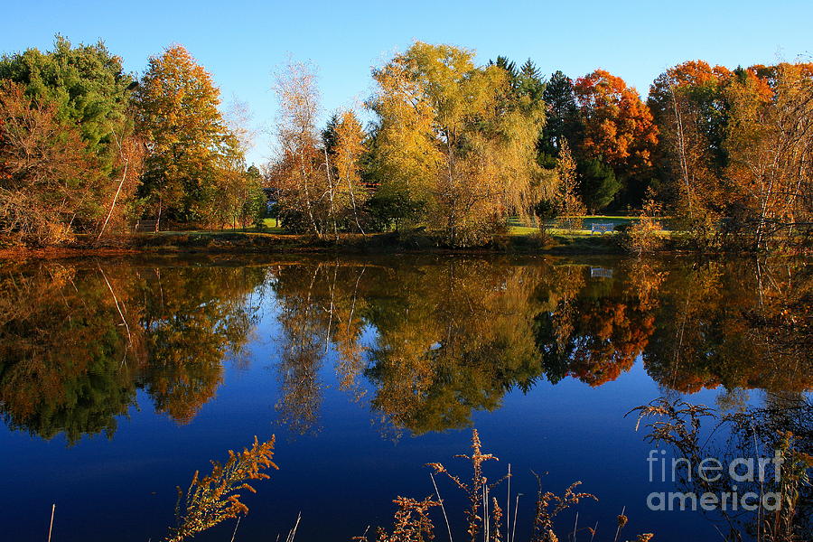 Autumn Pond Scene 2 Photograph by Angela Rath