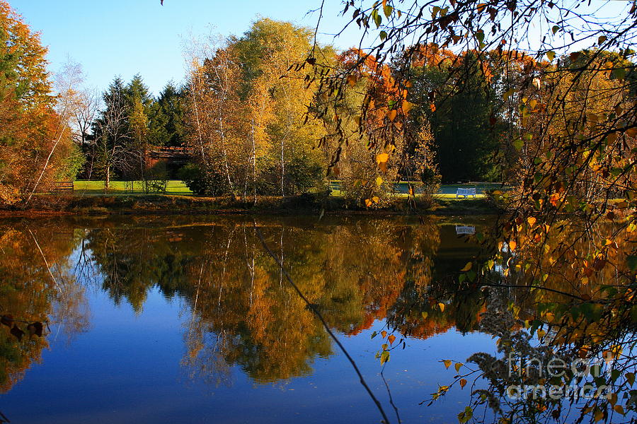 Autumn Pond Scene 3 Photograph by Angela Rath