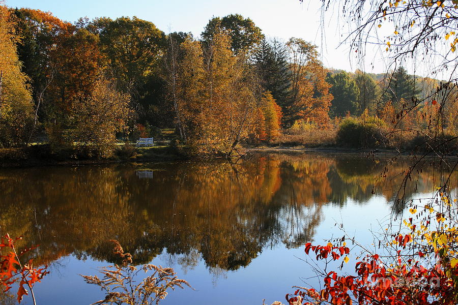 Autumn Pond Scene 4 Photograph by Angela Rath