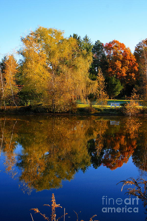 Autumn Pond Scene Photograph by Angela Rath