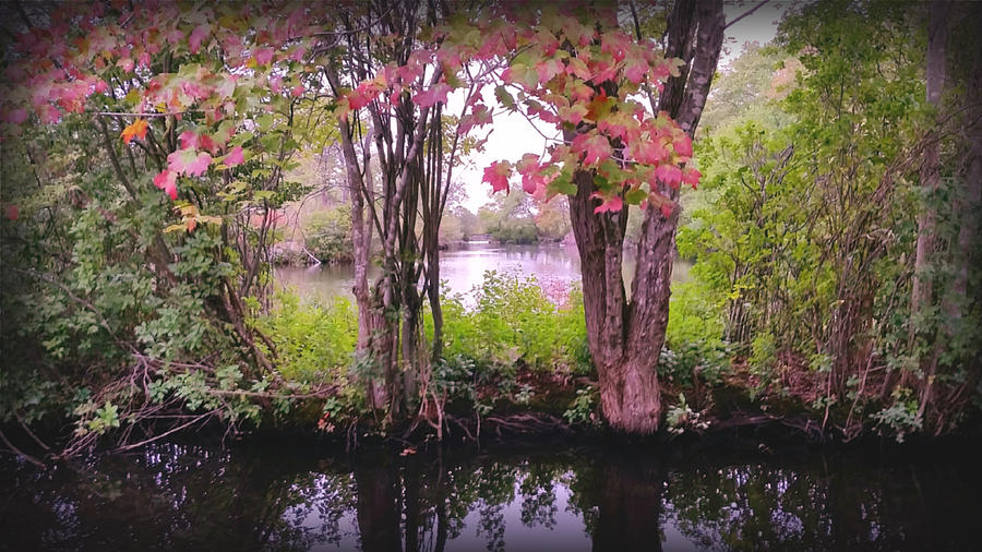 Autumn Ponds in Connetquot Park Photograph by Stacie Siemsen
