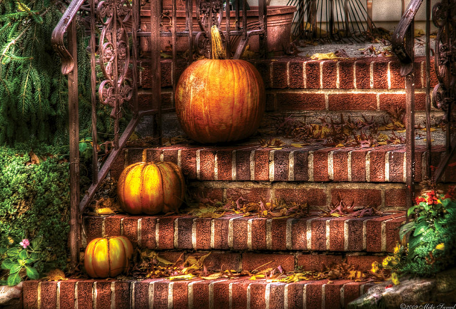Autumn - Pumpkin - Three Pumpkins Photograph by Mike Savad