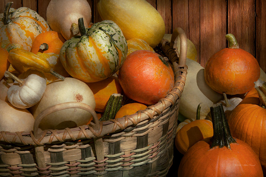 Autumn - Pumpkins in a basket Photograph by Mike Savad