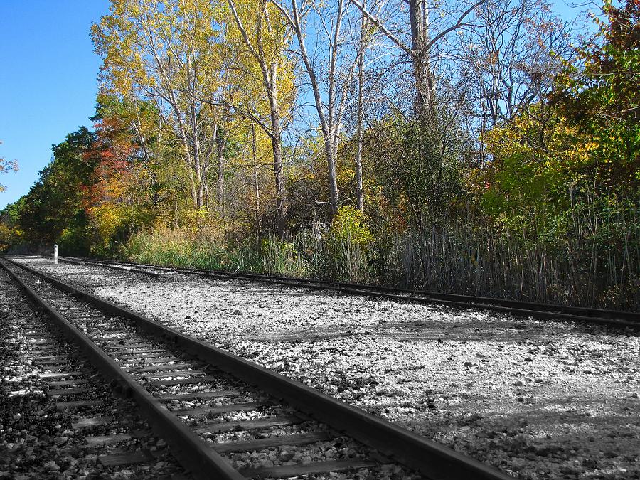 Tree Photograph - Autumn Rail Line by Scott Hovind