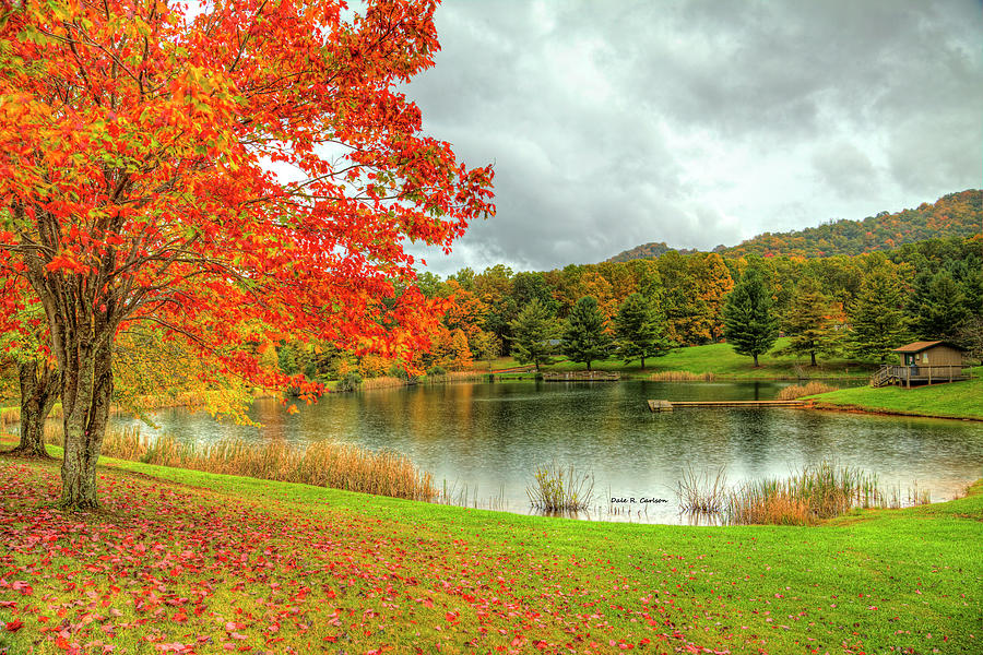 Autumn Rain Photograph by Dale R Carlson