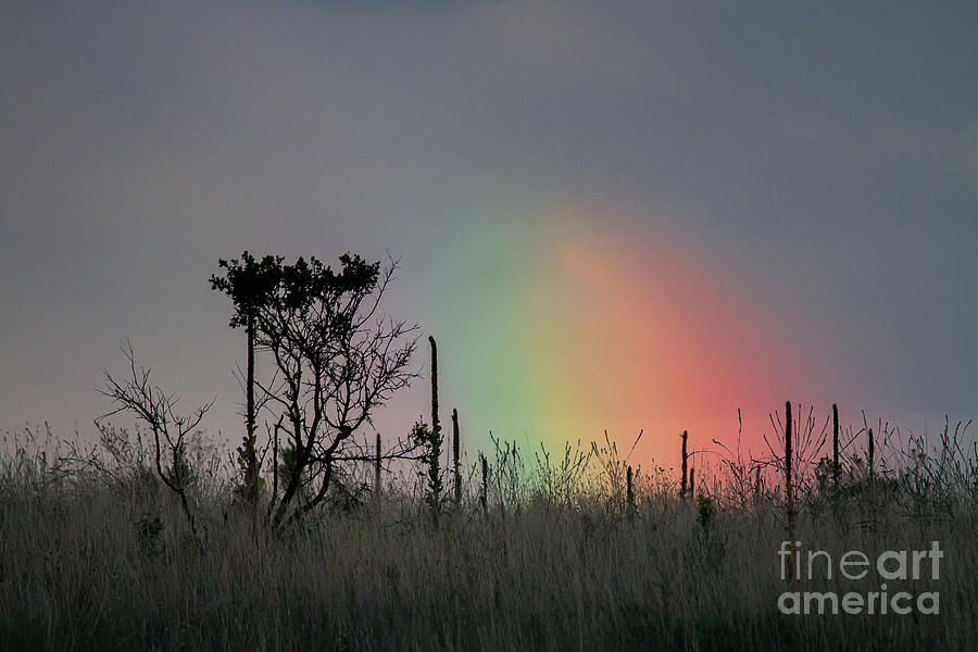 Rainbow Photograph - Autumn Rain by Jim Garrison