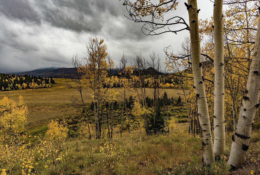 Autumn Rain Photograph by Jody Partin