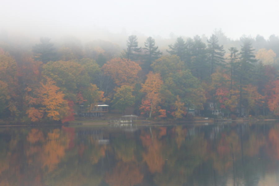 Autumn Rain Photograph by John Burk