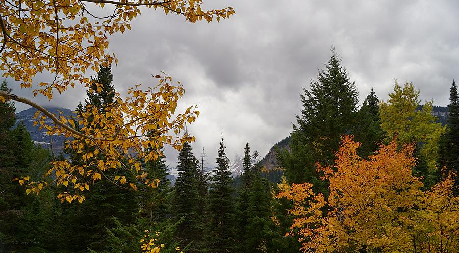 Autumn Rain Storm Against Snowy Mountains  Photograph by Tracey Vivar