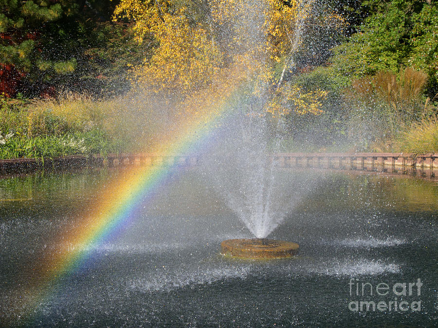 Autumn Rainbow Photograph by Ann Horn