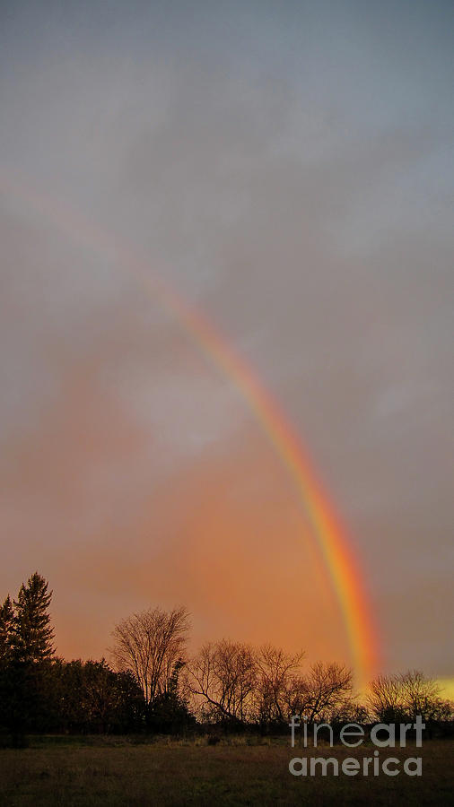 Autumn Rainbow Photograph by Cheryl Baxter