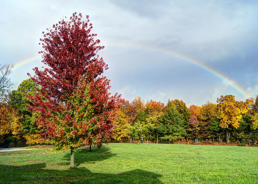 Autumn Rainbow Photograph by Cricket Hackmann