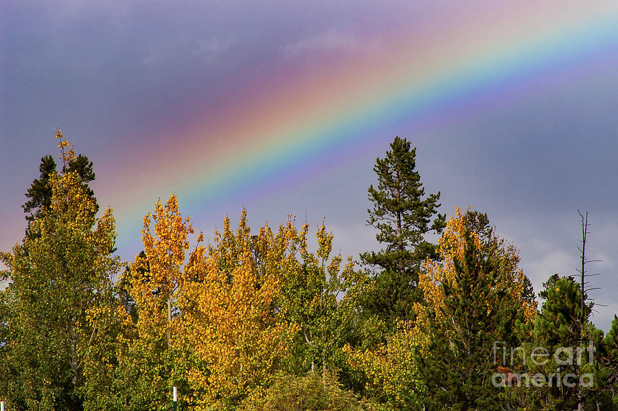Autumn Rainbow in the Tetons Photograph by Bob Phillips