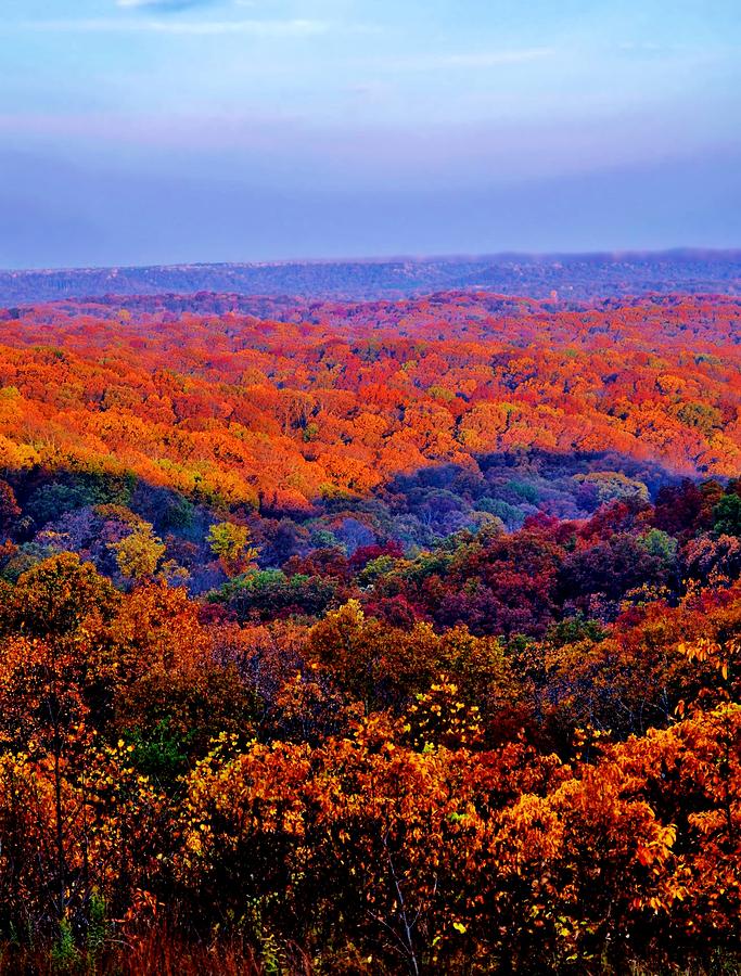 Autumn Rainbow Photograph by Michelle McPhillips | Fine Art America