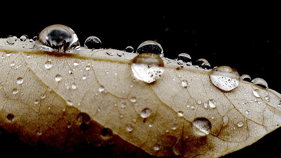 Autumn Rains Photograph by Lkb Art And Photography