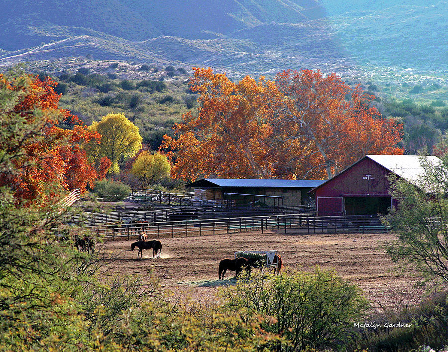 Autumn Ranch Photograph by Matalyn Gardner