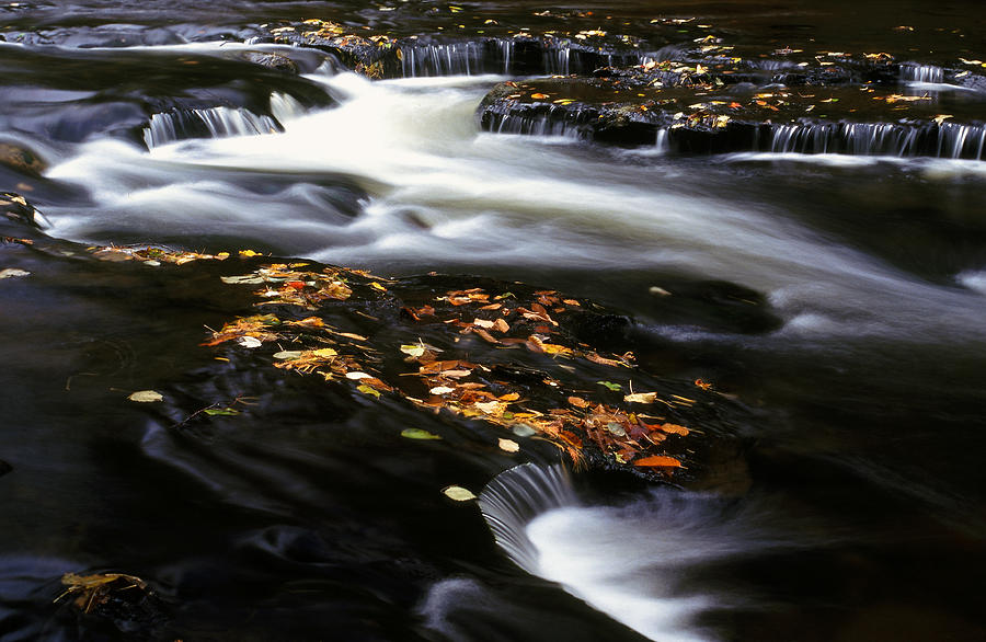 River Rapids Photograph - Autumn Rapids by Bill Morgenstern