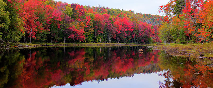 Autumn Reflected Photograph by David Patterson