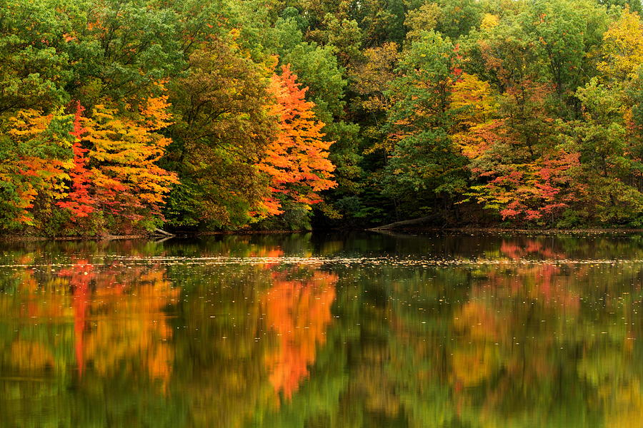 Landscape Photograph - Autumn Reflected in Lake by Amanda Kiplinger