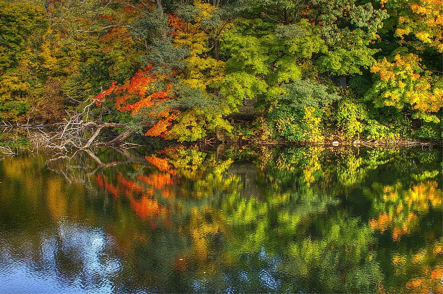 Autumn Reflection  Photograph by Randy Pollard