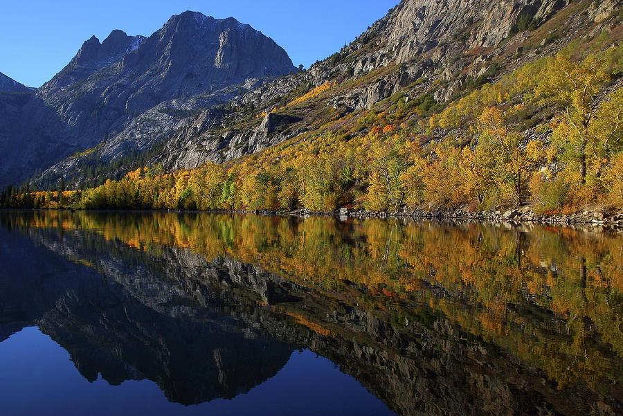 Autumn reflection at Silver Lake in the Eastern Sierras in Californa Photograph by Jetson Nguyen