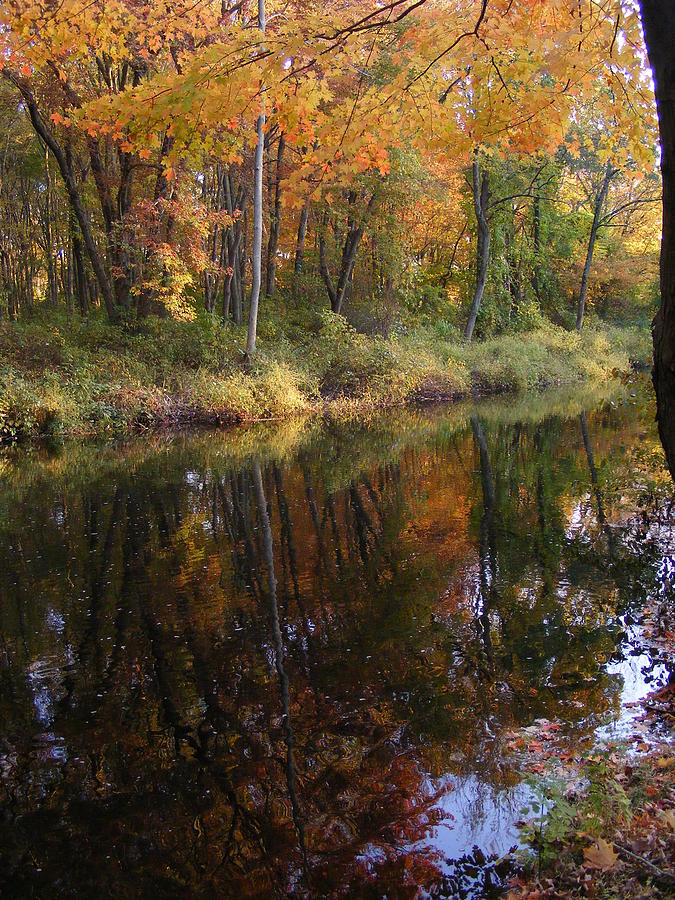 Autumn Reflection at the Brook Photograph by Margie Avellino