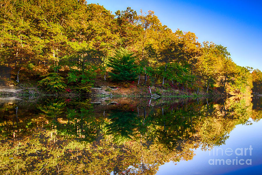 Autumn Reflection Photograph by Bill Frische