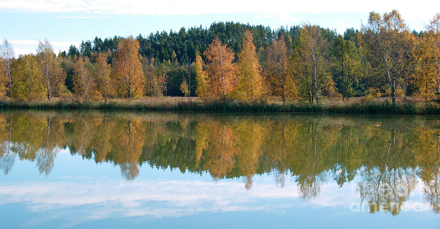 Autumn Reflection Photograph by Esko Lindell - Fine Art America