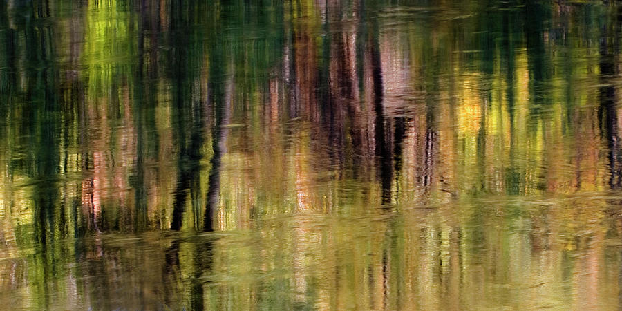 Autumn Reflection Photograph by Floyd Hopper