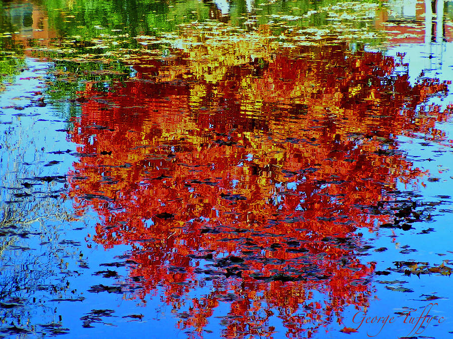 Autumn reflection Photograph by George Tuffy