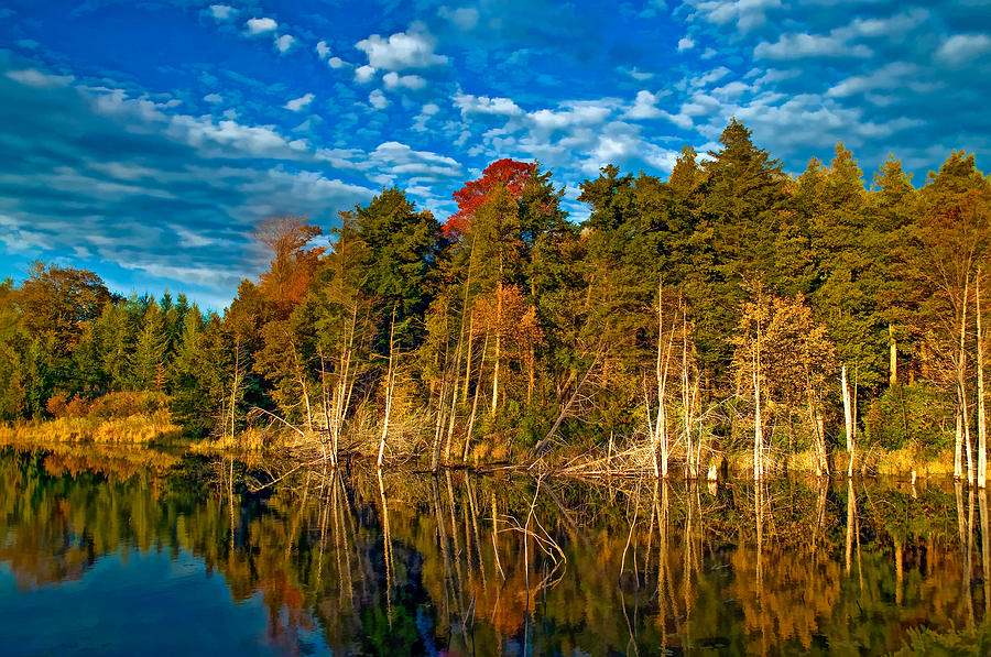 Autumn Reflection II Photograph by Steve Harrington - Fine Art America