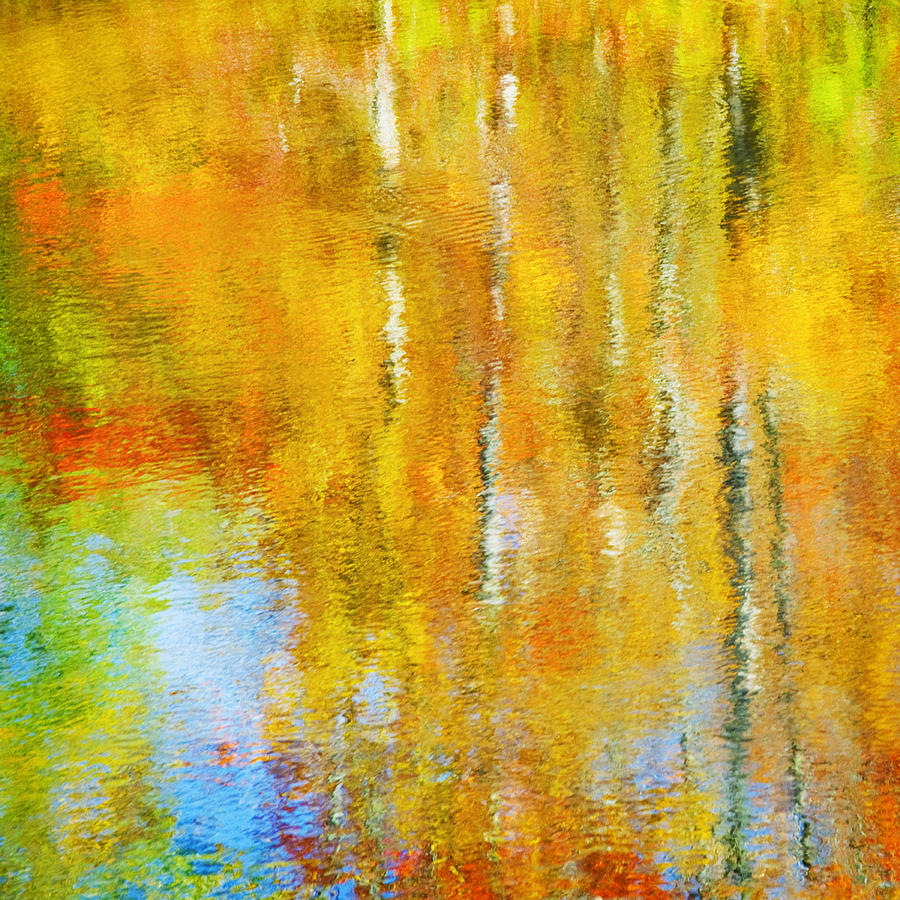 Autumn Reflection Photograph by Jill Love