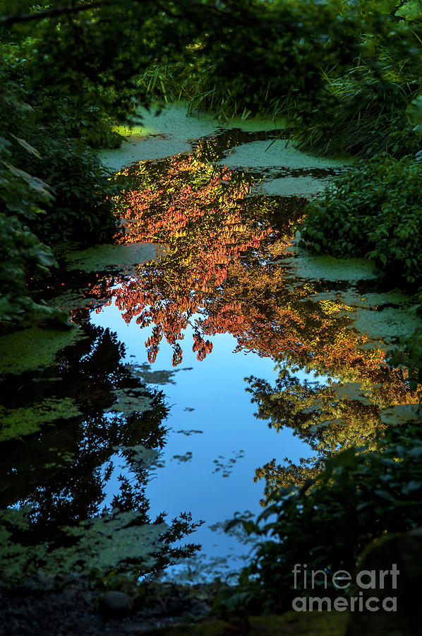 Autumn Reflection Photograph by Jim Corwin