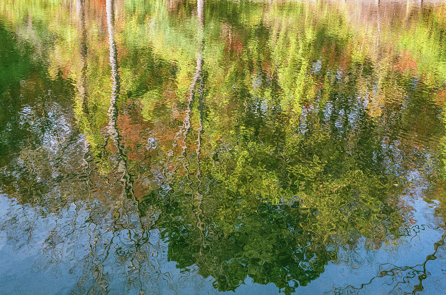 Autumn reflection  Photograph by John McGraw