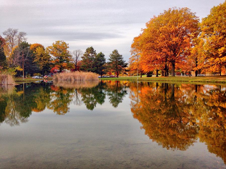 Autumn Reflection Photograph by Kristen Cavanaugh - Fine Art America