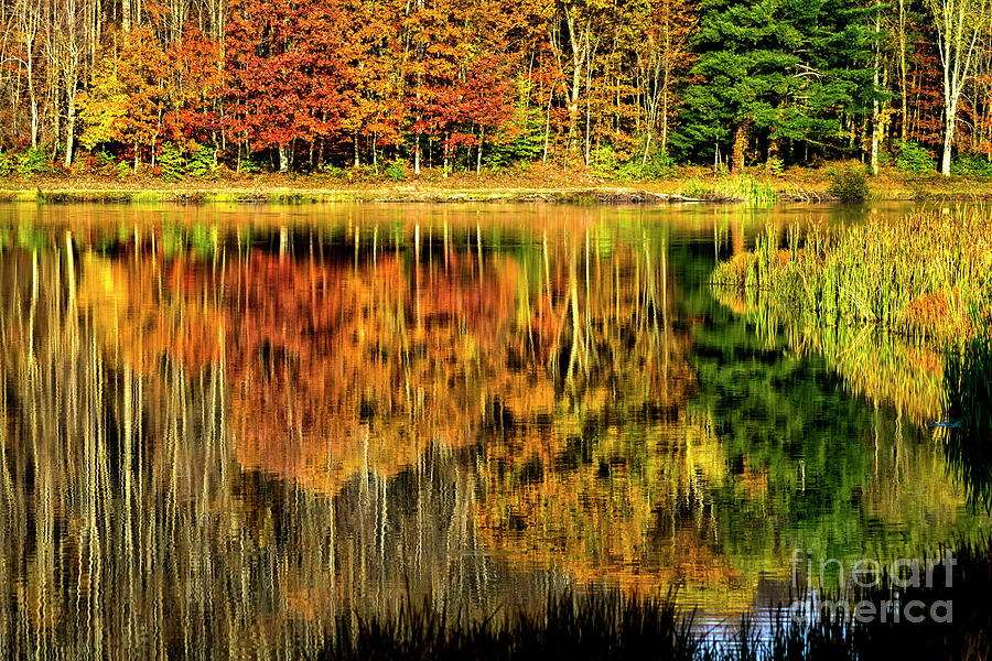 Fall Photograph - Autumn Reflection on Lake by Thomas R Fletcher