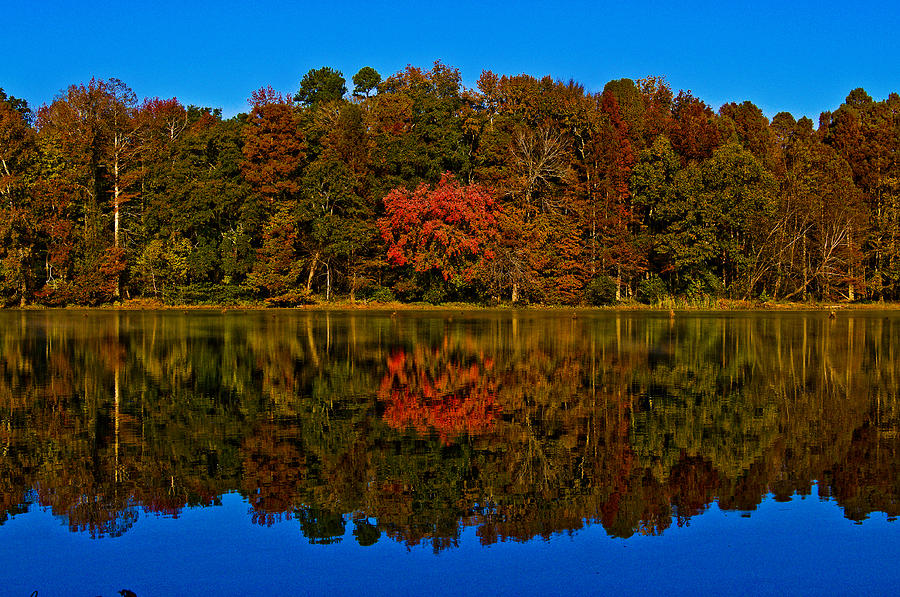 Autumn Reflection On Stevens Creek Photograph by Michael Whitaker