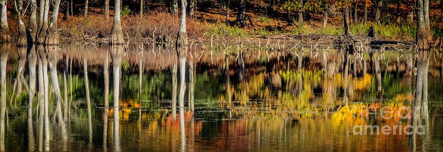 Autumn Reflection Panorama Photograph by Karen Jorstad
