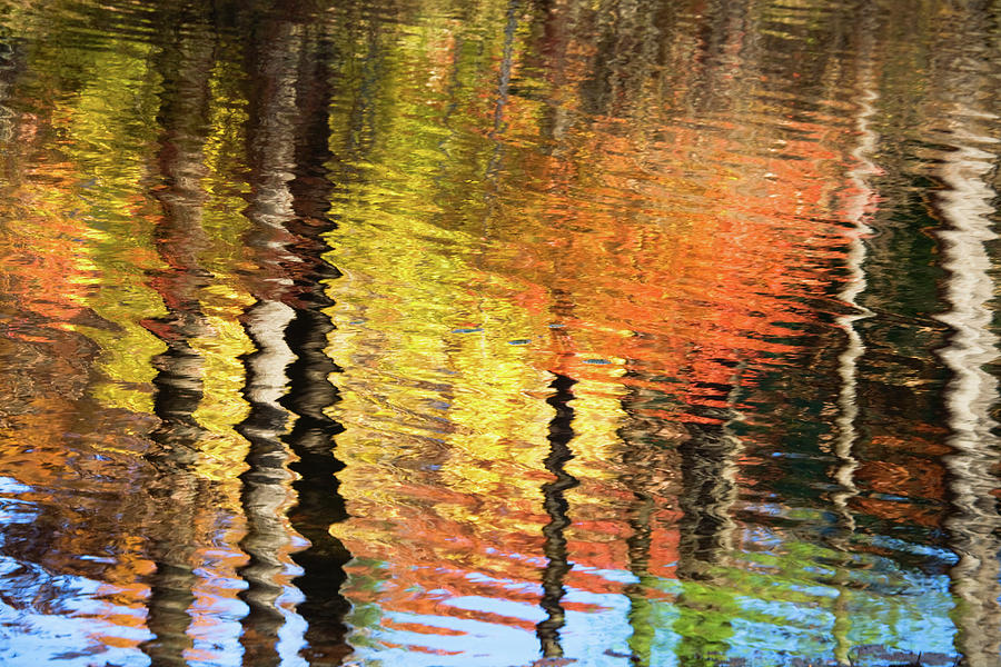 Autumn Reflections-1 Photograph by Diane Macdonald