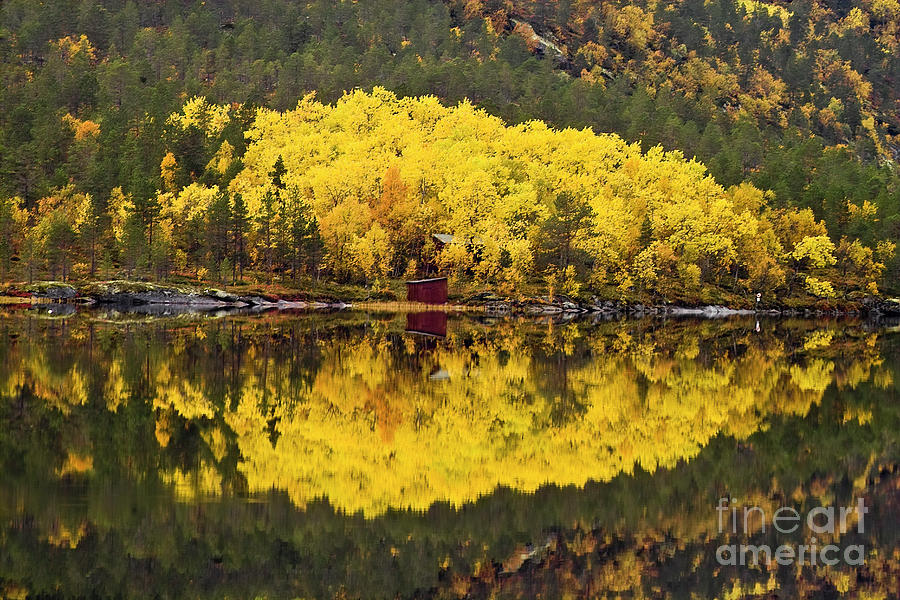 Autumn reflections 1 Photograph by Heiko Koehrer-Wagner
