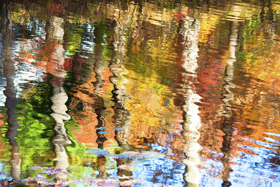 Autumn Reflections-2 Photograph by Diane Macdonald